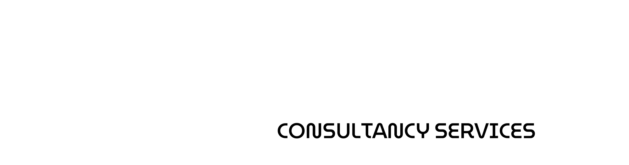 Cyberfox Consultancy Services